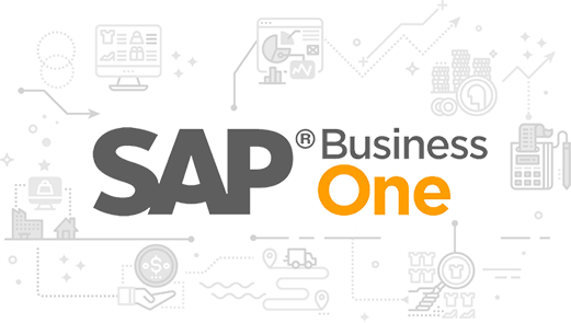 SAP Business one Partner
