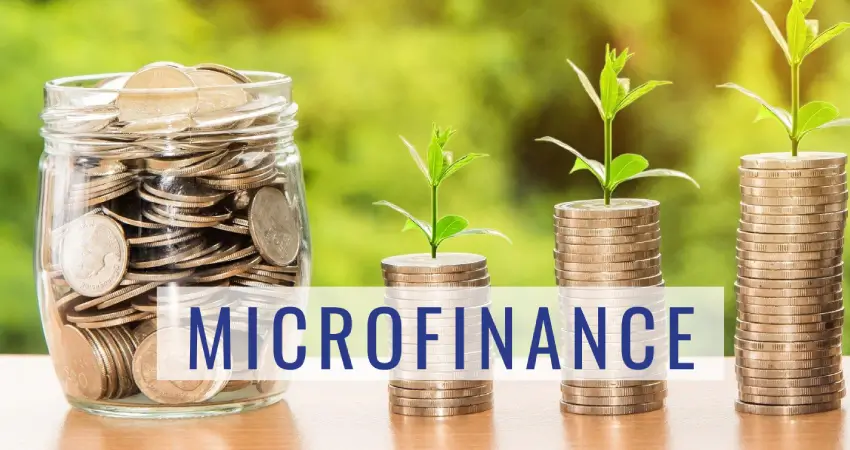 Microfinance SAP industry