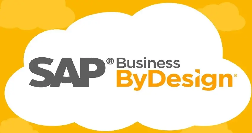 SAP ByD For Businesses