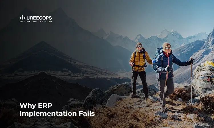 ERP Implementation Fails