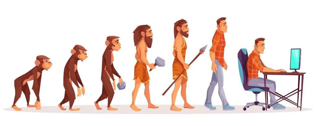 Human Evolution