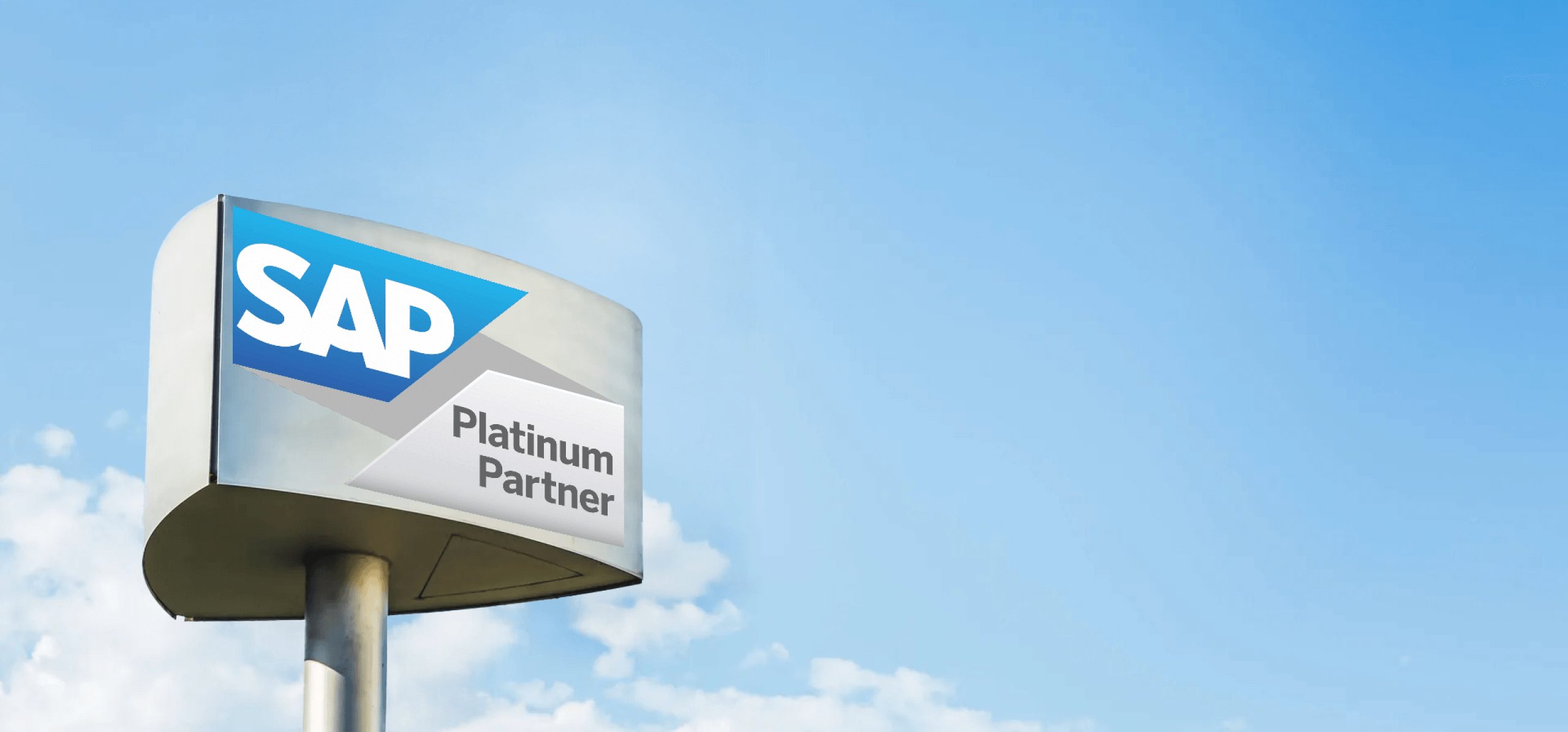 Why SAP Is Not Just for Big Companies: Amazing Uses for Every Business Size!