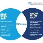 Rise vs Grow With SAP